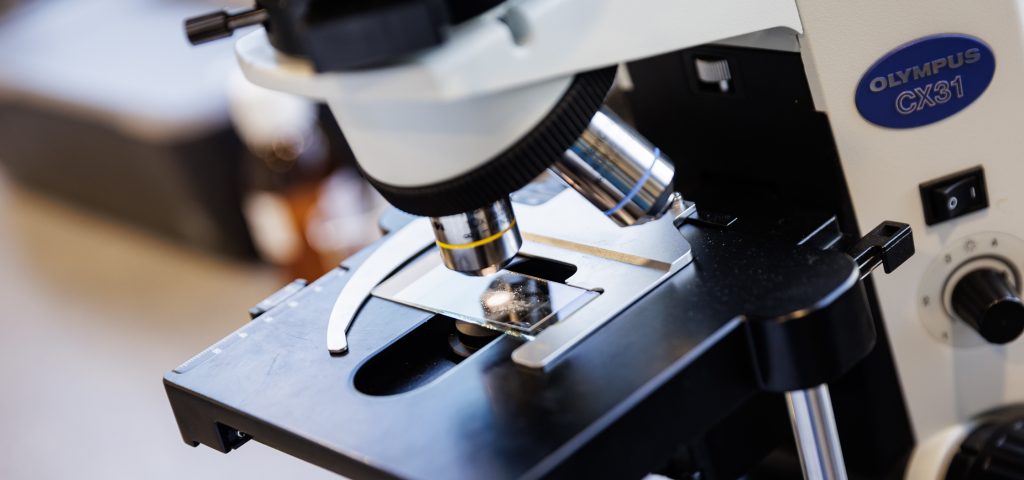 Small Molecule Drugs: Key Facts & Choosing the Right Partner