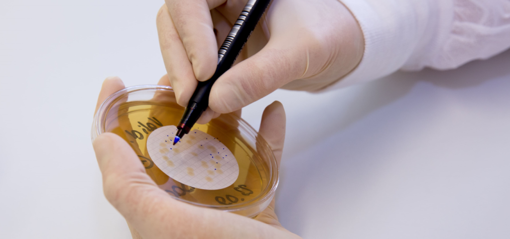 Biotechnology: Definition, Benefits, and Applications
